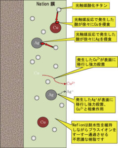 ワンエコ光触媒