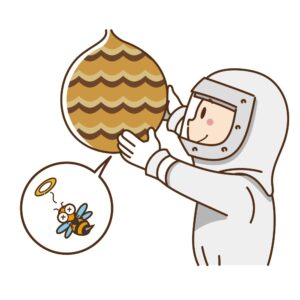 蜂の巣駆除