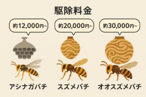 蜂駆除料金インフォグラフィック