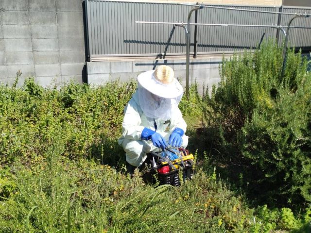 明石市A様邸 | アシナガバチの巣駆除