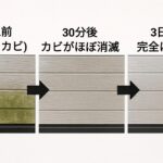 光触媒コーティングの防カビ性能試験