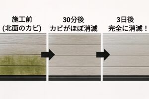 光触媒コーティングの防カビ性能試験