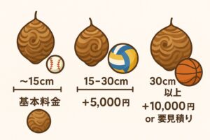 蜂の巣サイズ比較